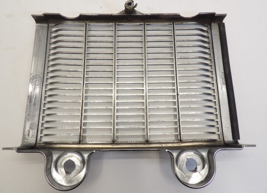 Radiator toebehoren Triumph Thunderbird 900