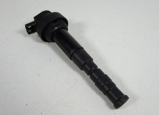 Bobine BMW K 1300 GT