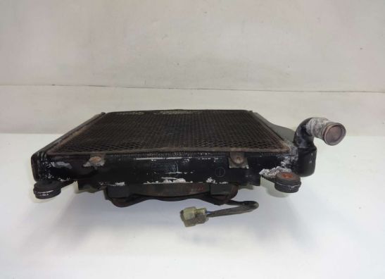 Kuhler Kawasaki GTR 1000