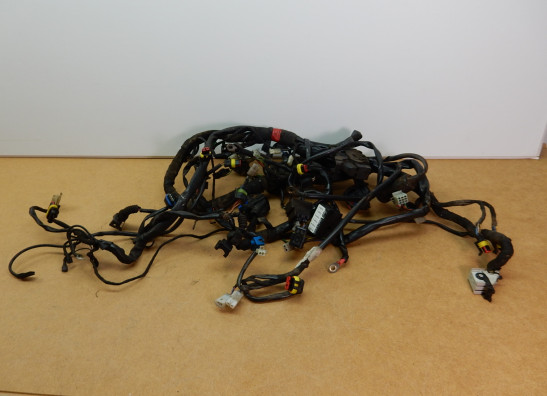 Wire Harness Moto Guzzi Norge