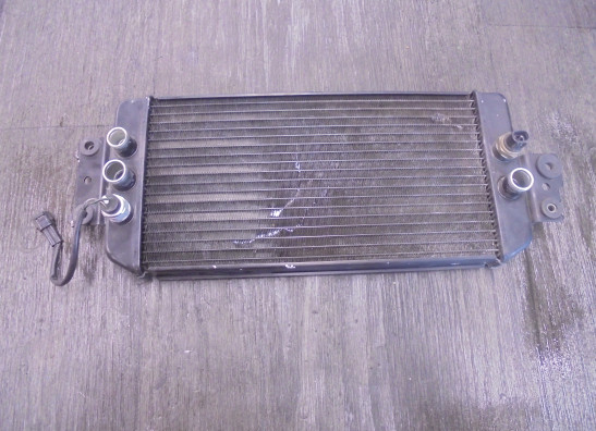 Radiator Suzuki VL 800