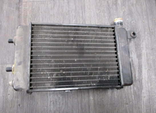Radiateur Aprilia RSV 1000