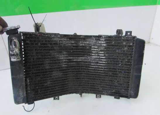 Radiateur Suzuki GSX R 1300 Hayabusa