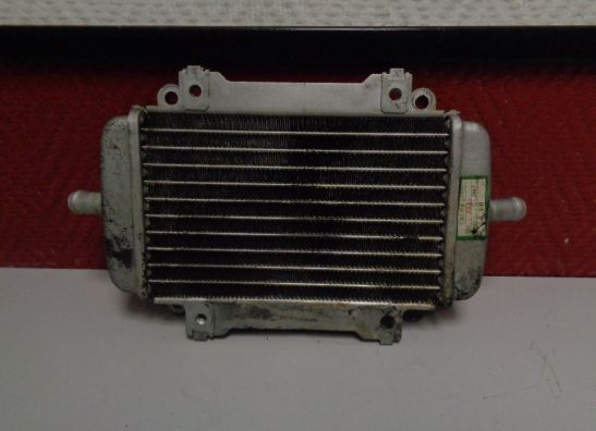 Radiateur Vespa Gts 300