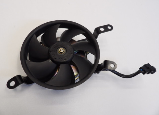Fan Yamaha YZF R1