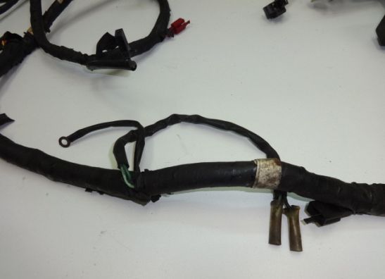 Kabelboom Honda CBX 750 F