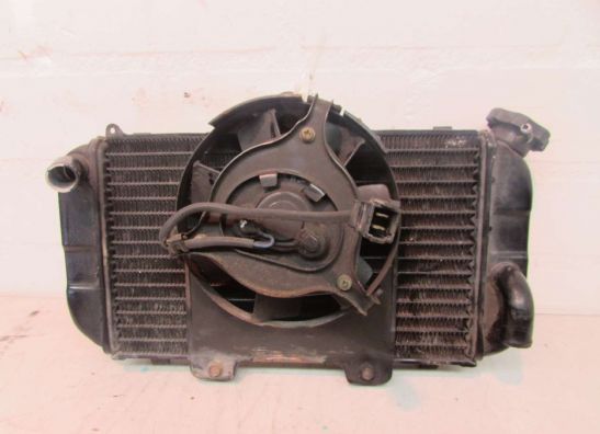 Radiator Yamaha TDM