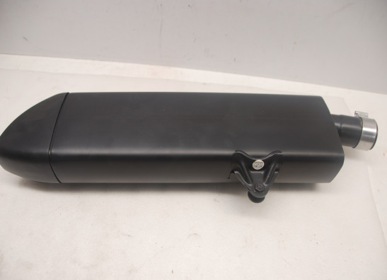 Auspuff Harley Davidson Pan America