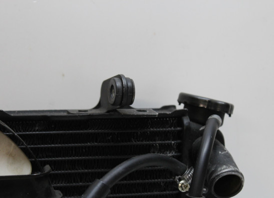Radiateur Yamaha FZR 750 R OWO1