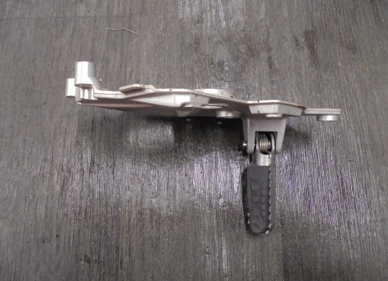 Schetsplaat links BMW F 850 GS