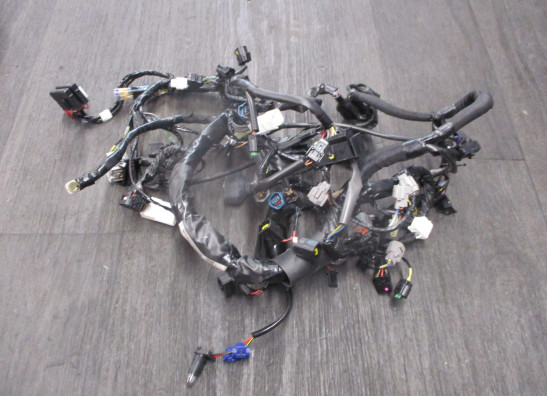 Wire Harness Kawasaki 650 Vulcan S 2015-2019
