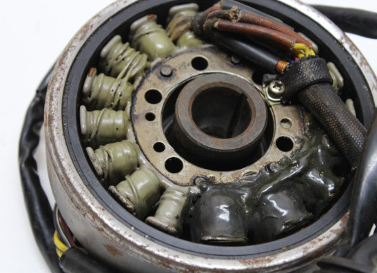 Dynamo Suzuki RG 500