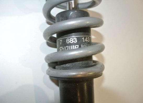 Stossdämpfer vorne BMW R 1200 R