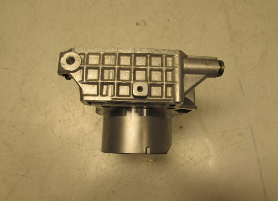 Zylinder Aprilia Tuono 1000