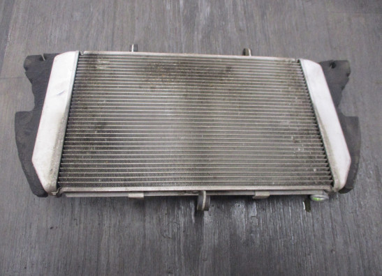 Radiator Kawasaki Z 1000 Sx