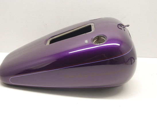 Complete kuipset Harley Davidson Softtail