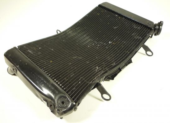 Radiator Yamaha FZ1