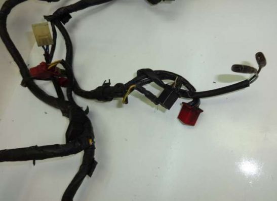 Kabelbaum Honda CBR 1000 F