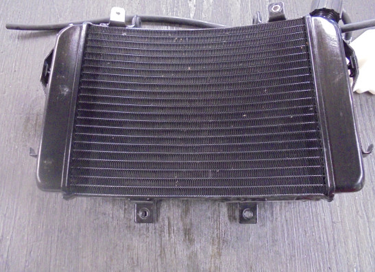 Radiator KTM 690 Duke 