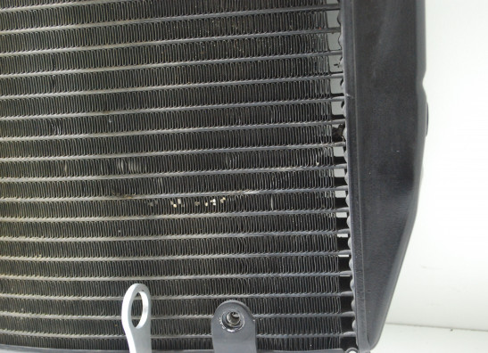 Radiateur MV Agusta 750 Brutale