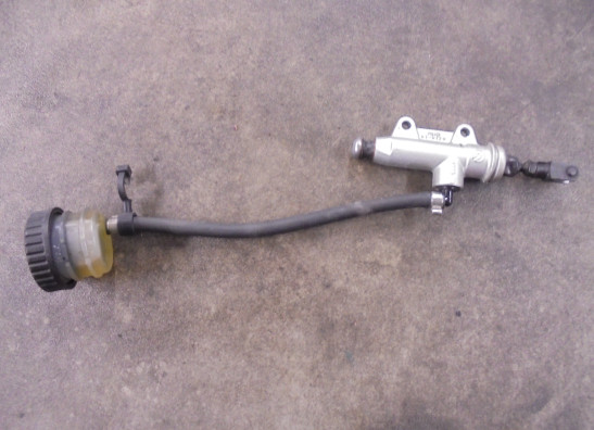Rempomp achter BMW R Nine T
