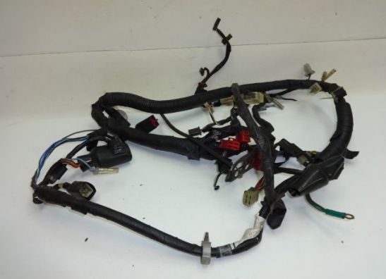 Wire Harness Honda VF 1000 F