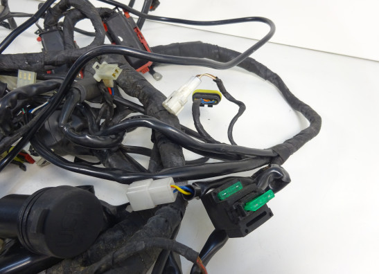 Kabelbaum Aprilia Dorsoduro 750