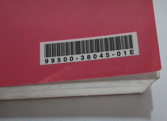 Bedienungsanleitung Suzuki VL 800