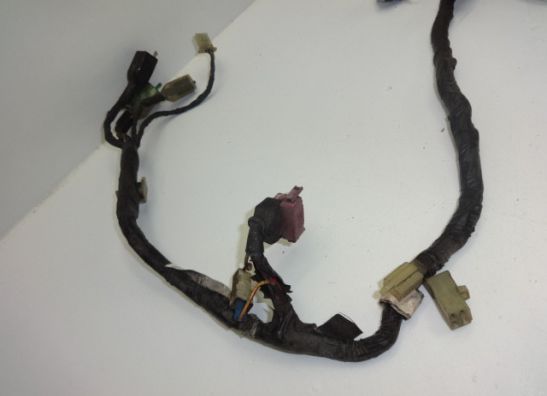 Kabelboom Honda PC 800