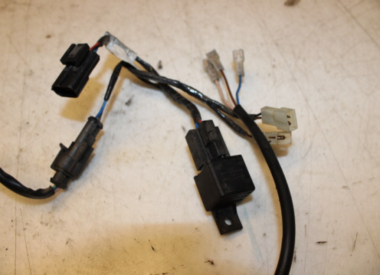 Kabelboom voor Triumph Sprint RS