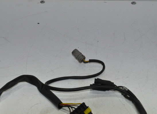 Wire harness front Ducati Monster S4