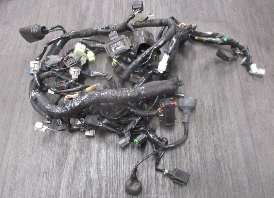 Kabelboom Kawasaki Z 1000 Sx 2014-2016