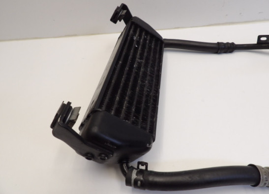 Oliekoeler BMW R 1100 S