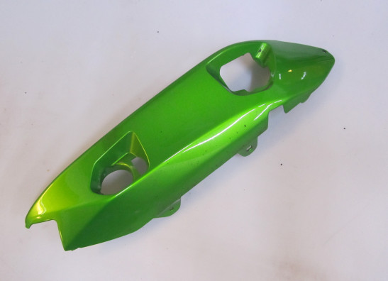 Heck rechts Kawasaki ER 6