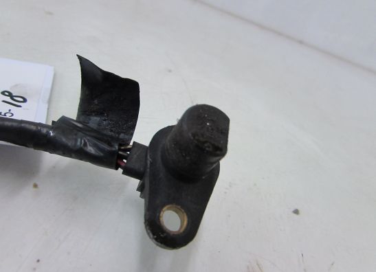 Engine parts Suzuki TL 1000