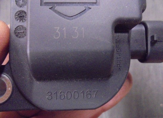 Bobine Harley Davidson Pan America