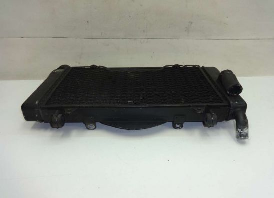 Kuhler Honda CBR 1000 F