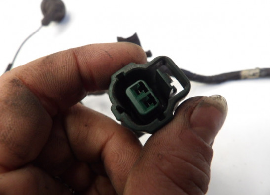 Kabelboom Honda Goldwing GL