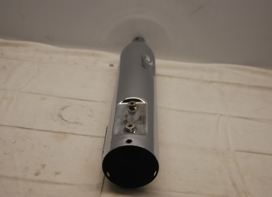 Auspuff Harley Davidson Touring FL