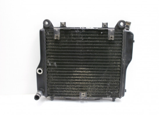 Kuhler Kawasaki GTR 1000