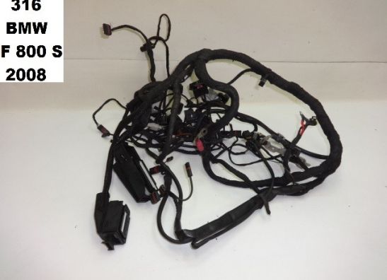 Wire Harness BMW F 800 S - ST