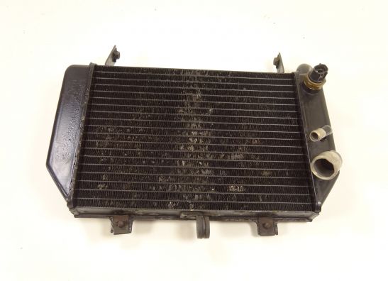 Radiateur Suzuki TL 1000