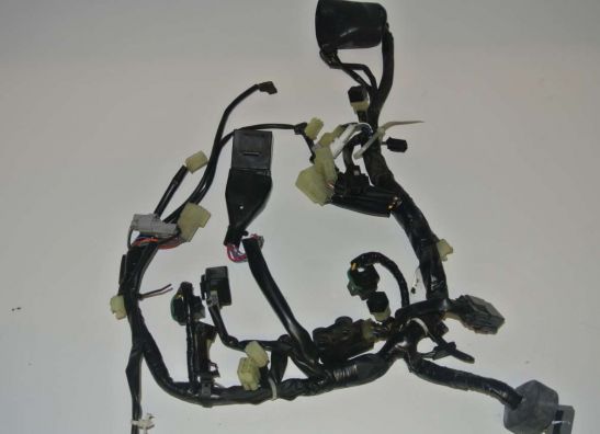 Kabelboom voor Yamaha FJR 1300
