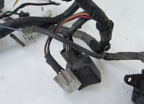 Kabelbaum Yamaha TDM