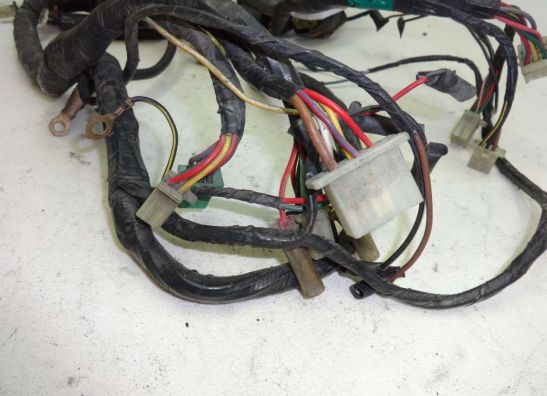 Kabelbaum Kawasaki ZZR 1100