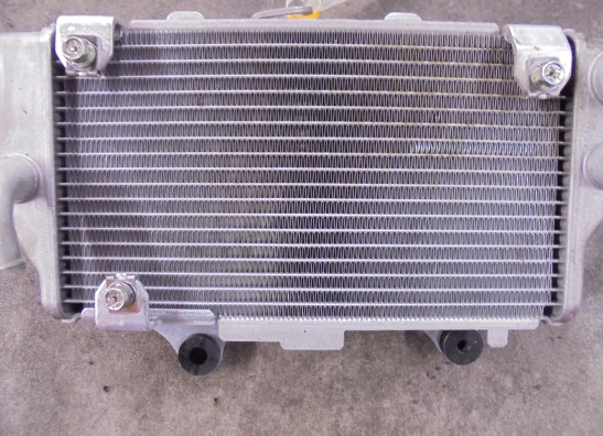 Radiateur Honda CRF 1100 Africa Twin