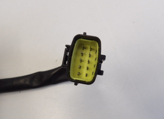 CDI Einheit Triumph Trophy 900