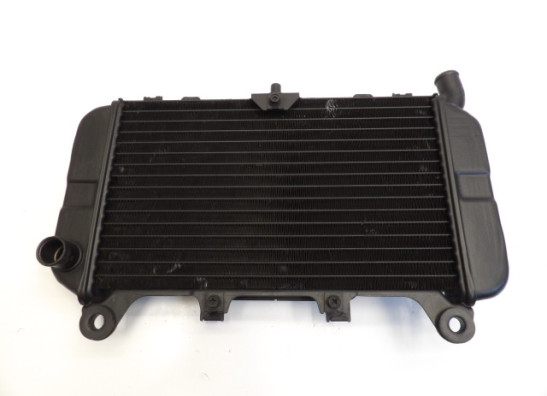 Kuhler Kawasaki ZZR 600