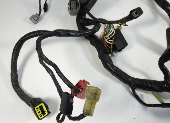 Kabelboom Kawasaki VERSYS 650