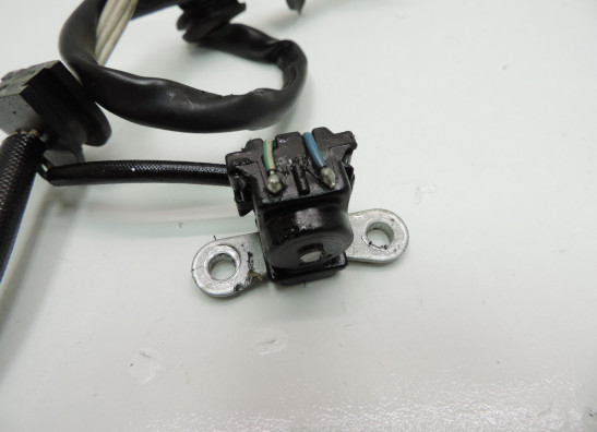 Dynamo Yamaha XTZ Tenere